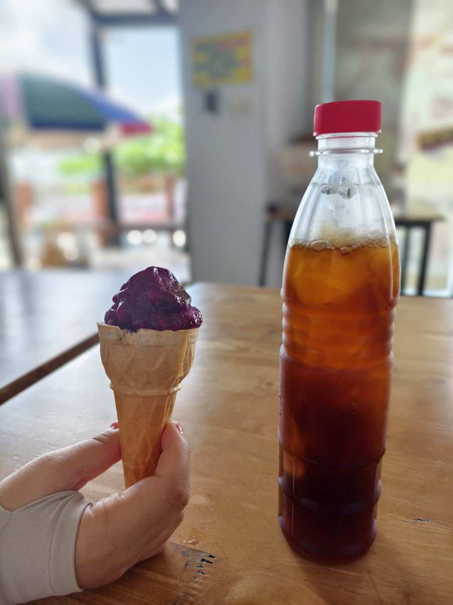 易家仙人掌冰 | 去趣 chicTrip