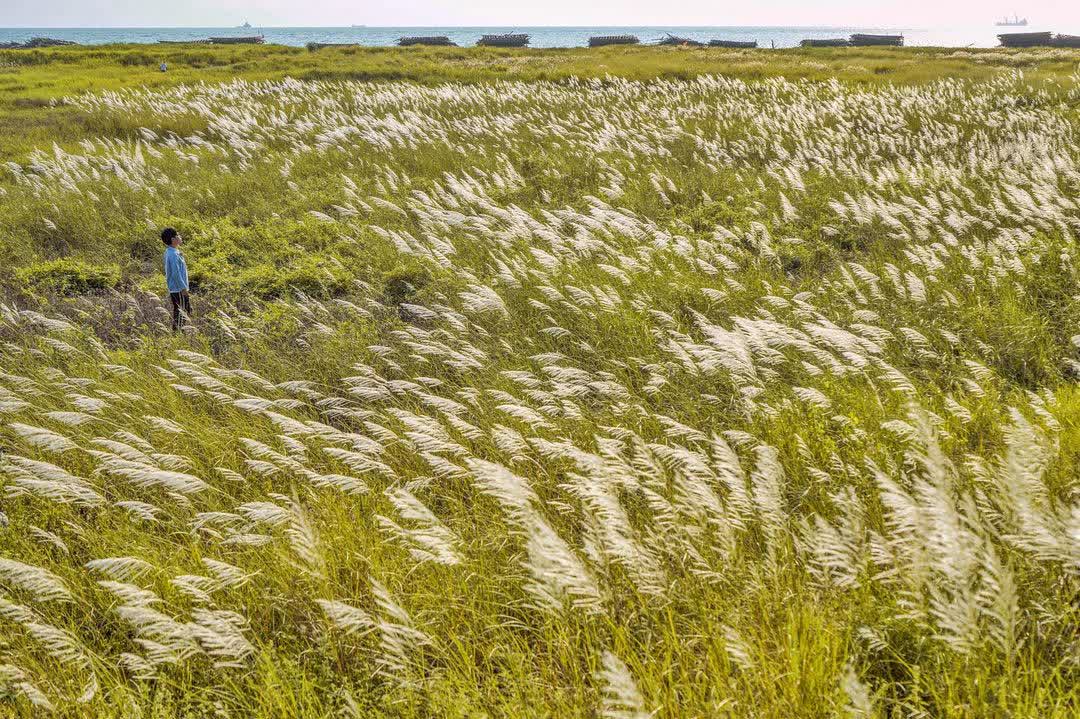 龍崗天橋(四鯤鯓海景天橋)