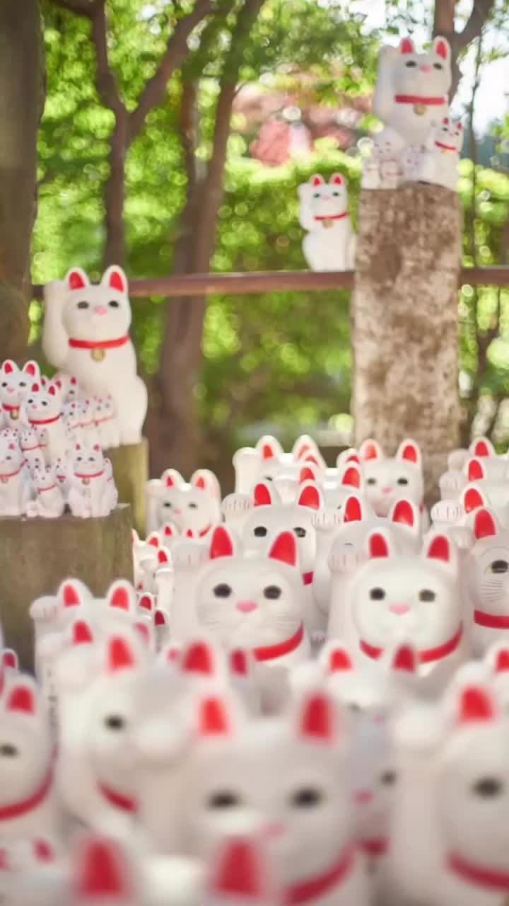 世田谷 豪德寺 | 去趣 chicTrip