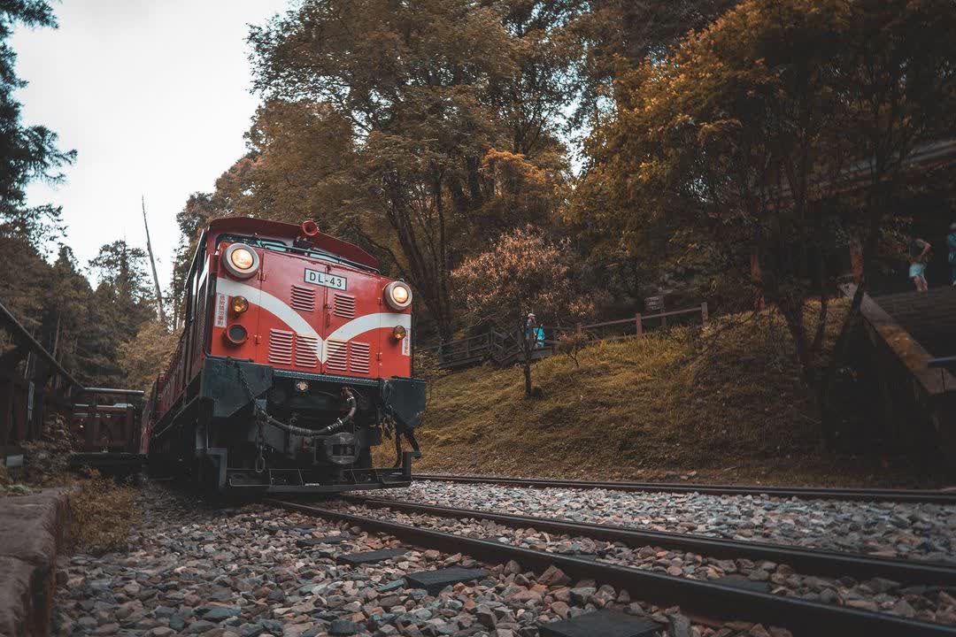 阿里山國家森林遊樂區 | 去趣 chicTrip