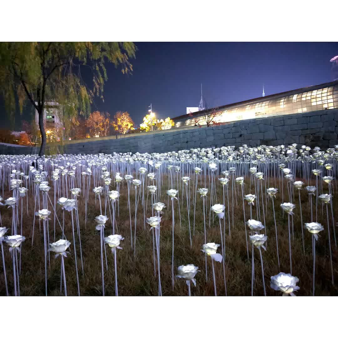 東大門設計廣場 DDP | 去趣 chicTrip