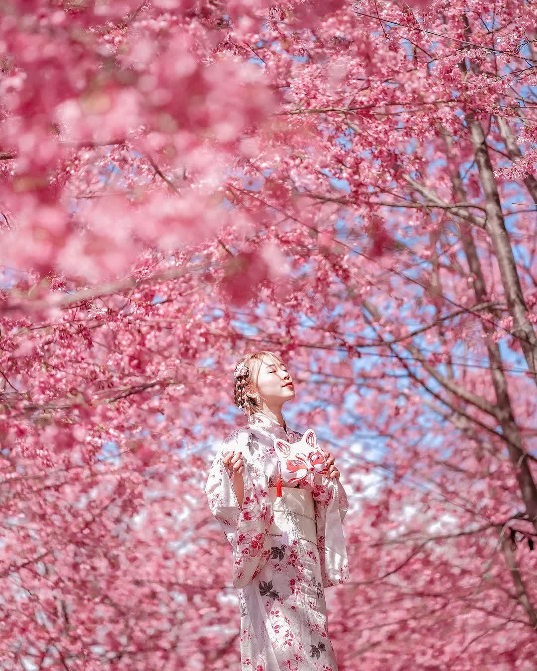 司馬庫斯 | 去趣 chicTrip