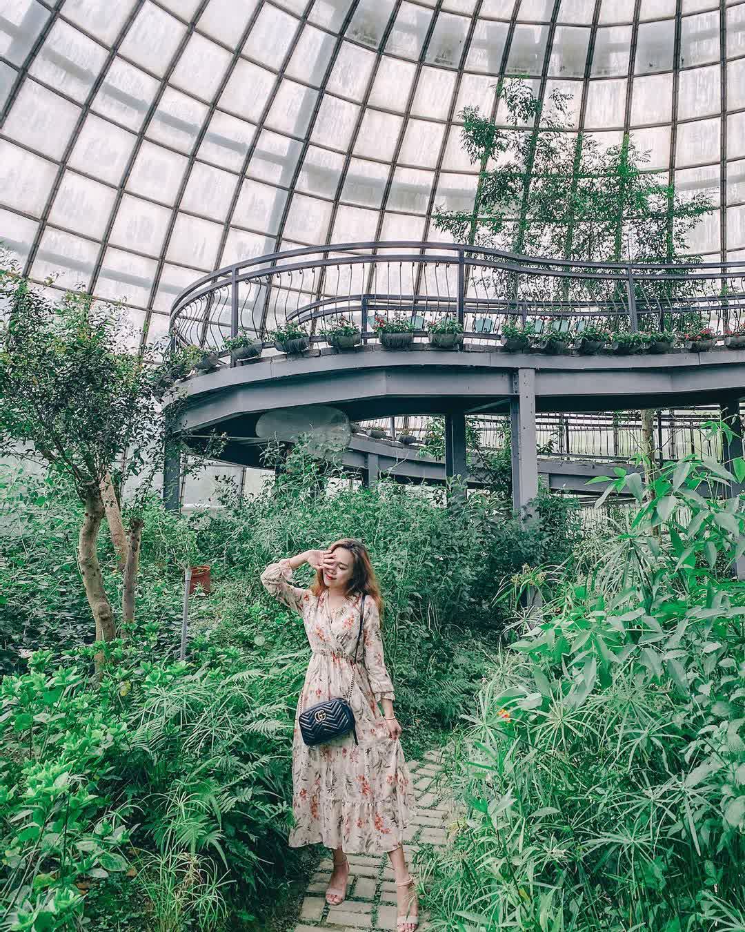 嘉大昆蟲館 | 去趣 chicTrip