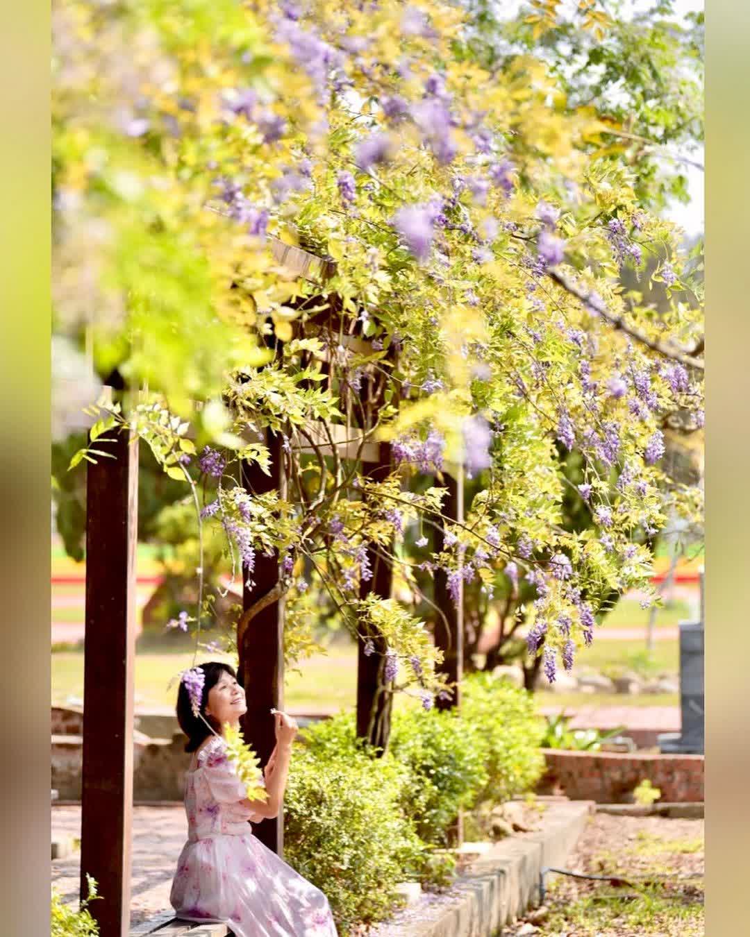 山腳國小日治後期宿舍群