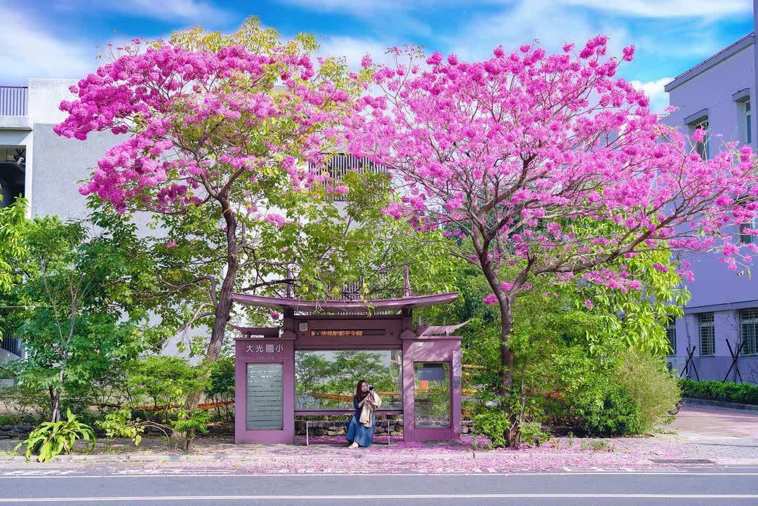 臺南市北區大光國民小學