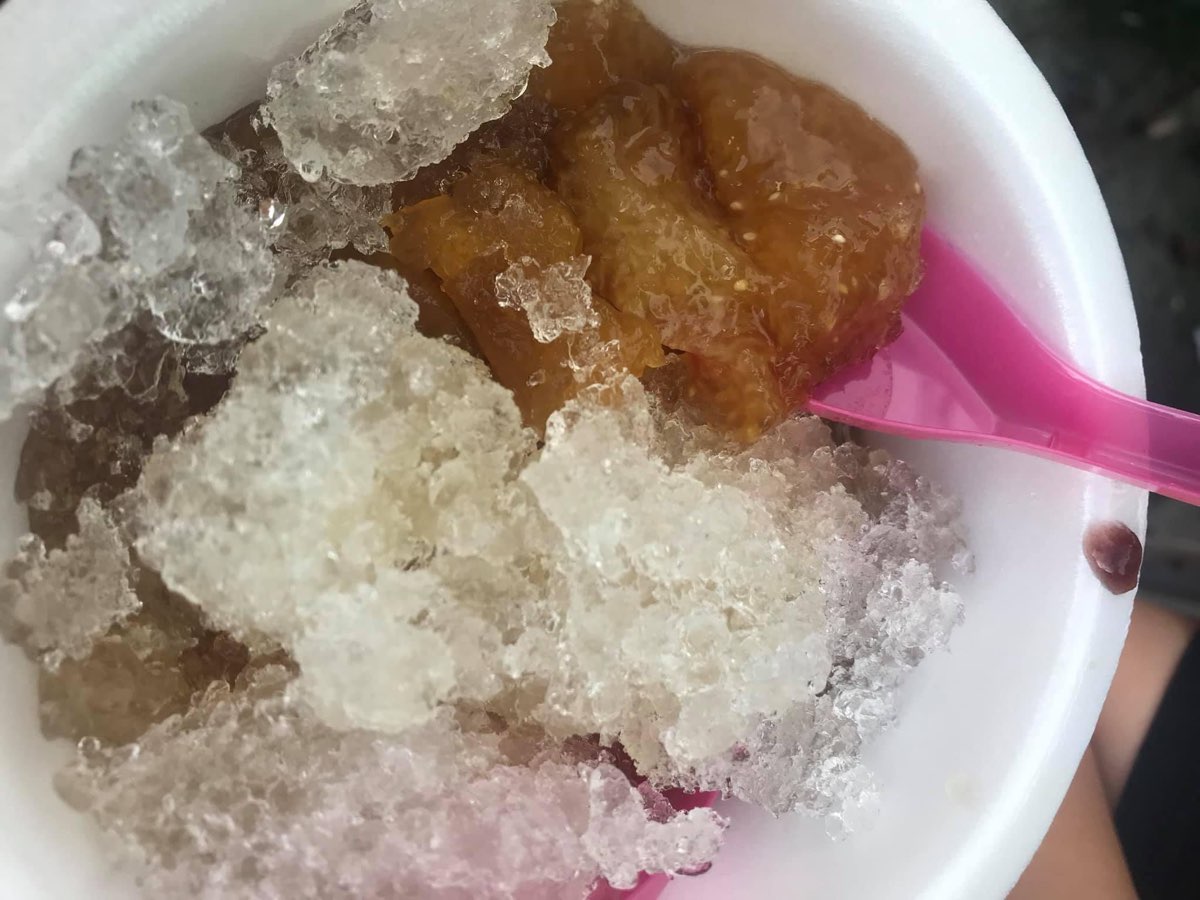 粳粽林 | 去趣 chicTrip