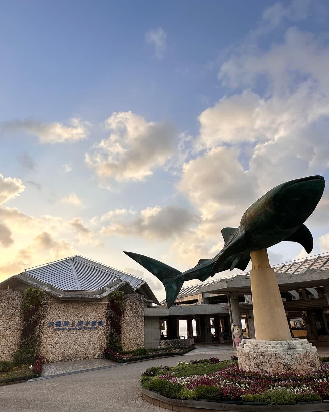 沖繩美麗海水族館 | 去趣 chicTrip