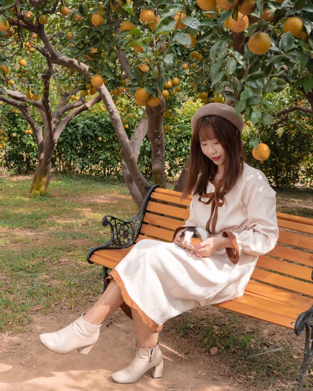 橙香森林 | 去趣 chicTrip