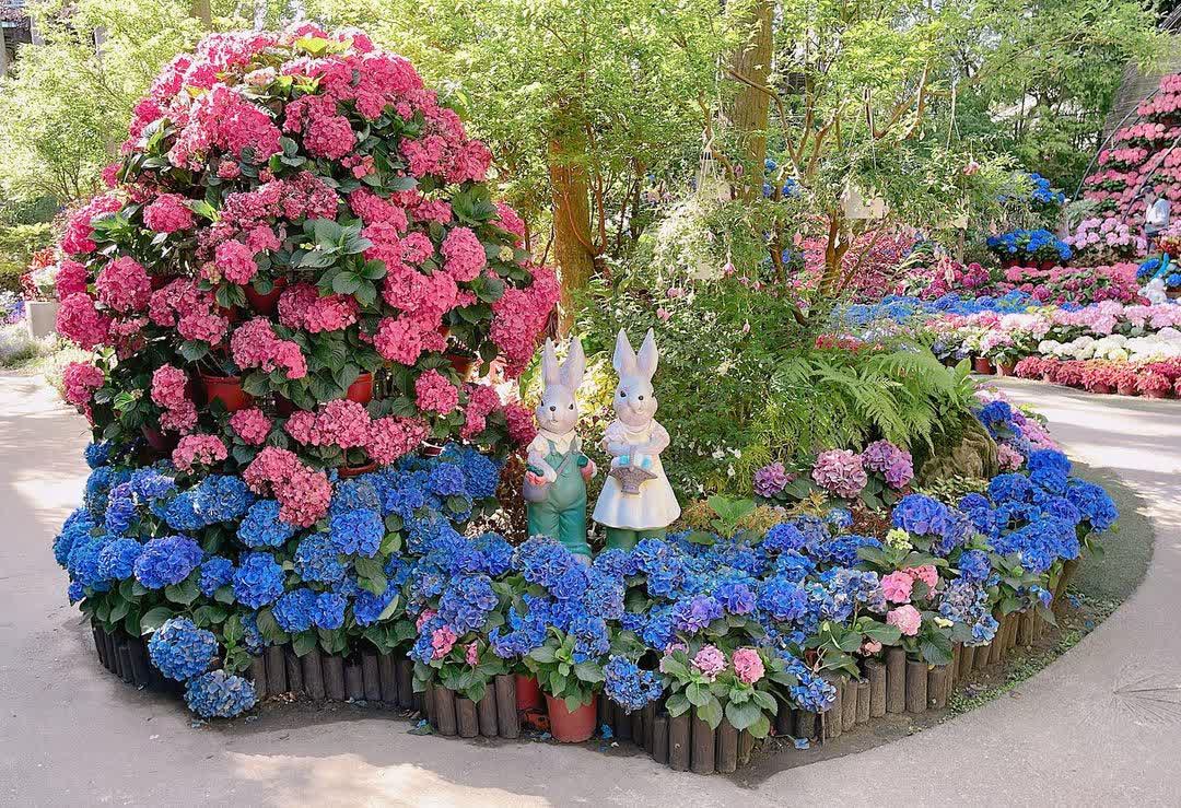 花露農場 Flower Home | 去趣 chicTrip