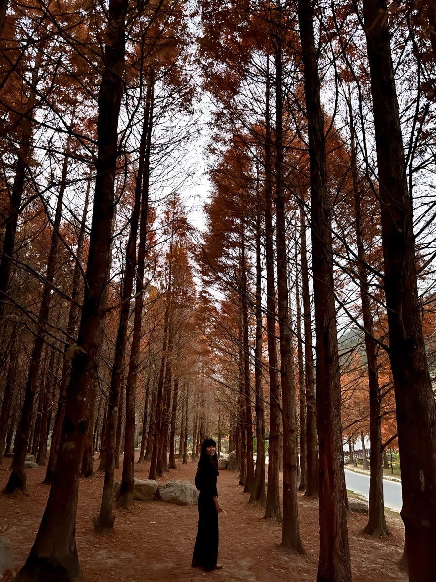 杉林溪森林生態渡假園區 | 去趣 chicTrip