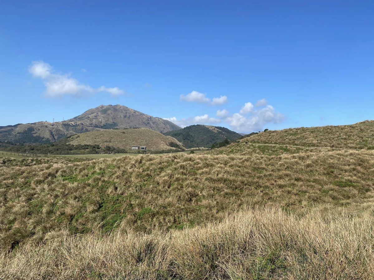 擎天崗 | 去趣 chicTrip