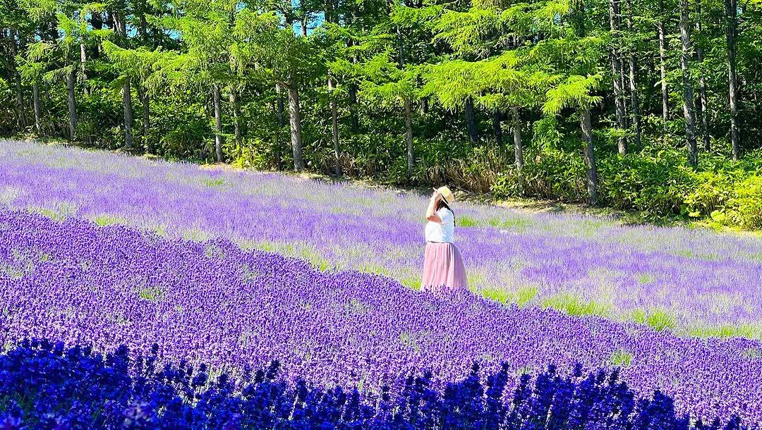 富田農場 | 去趣 chicTrip