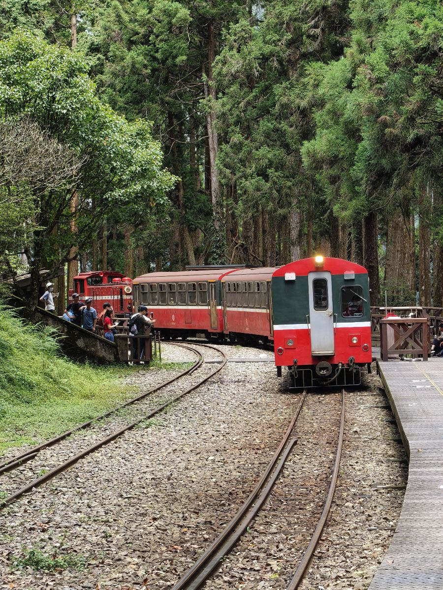 阿里山國家森林遊樂區 | 去趣 chicTrip