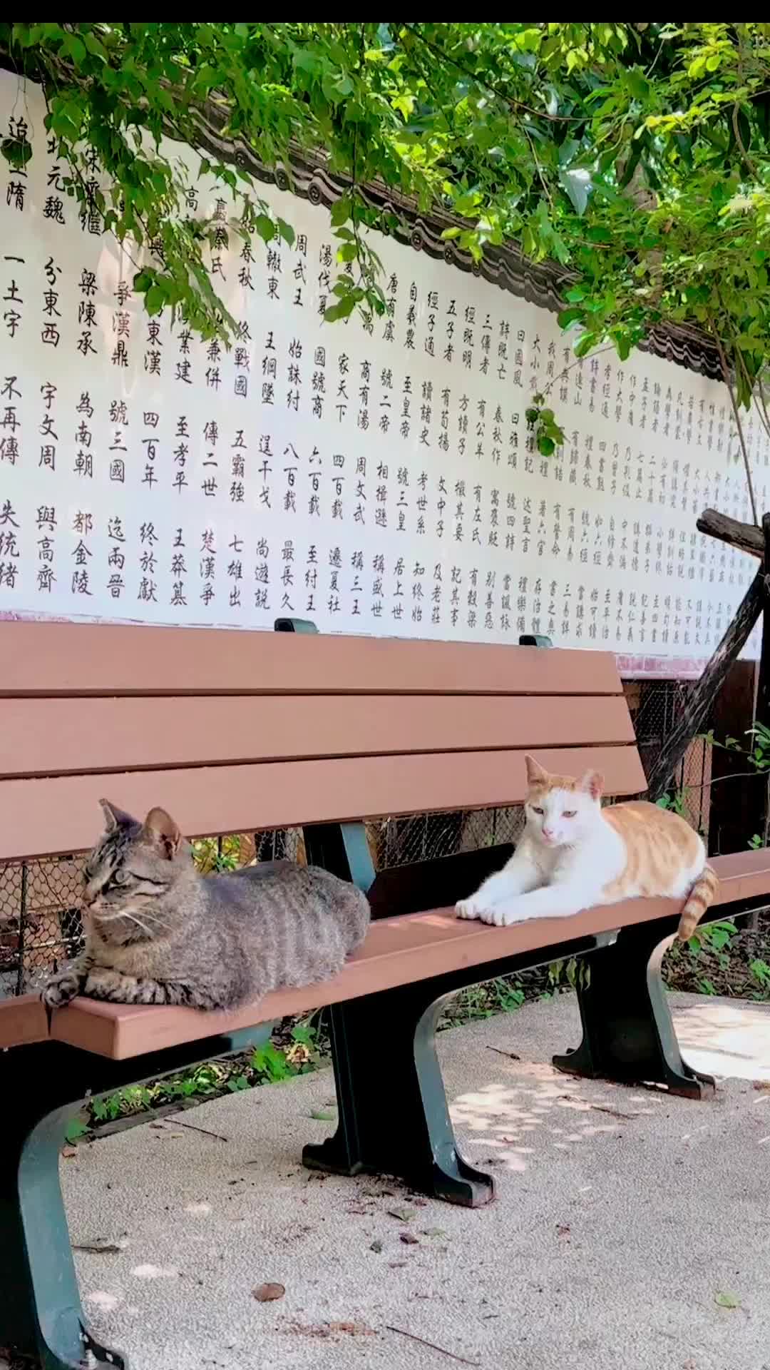 潭雅神綠園道 | 去趣 chicTrip