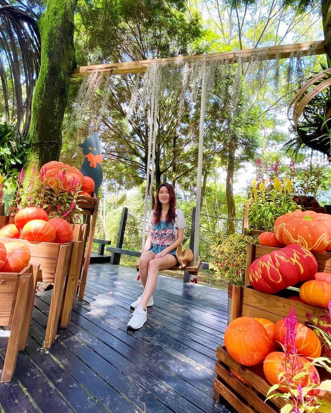 薰衣草森林台中新社店 | 去趣 chicTrip