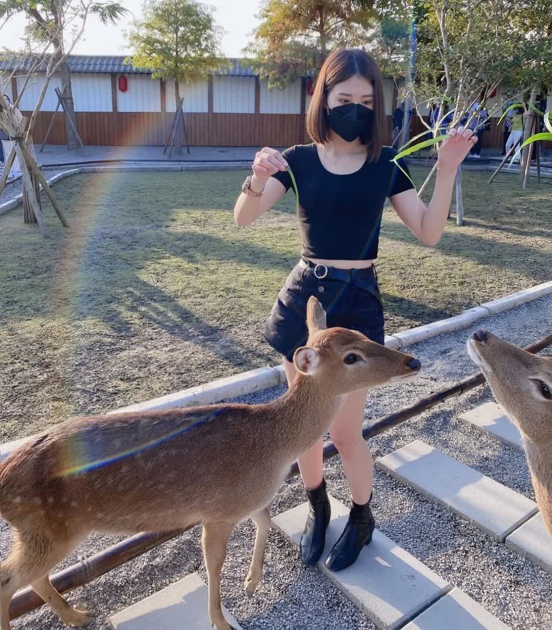 張美阿嬤農場（月森甯手作工坊） | 去趣 chicTrip