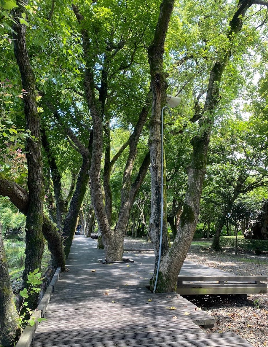 羅東林業文化園區 | 去趣 chicTrip