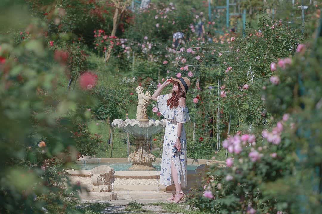 雅聞七里香玫瑰森林 | 去趣 chicTrip