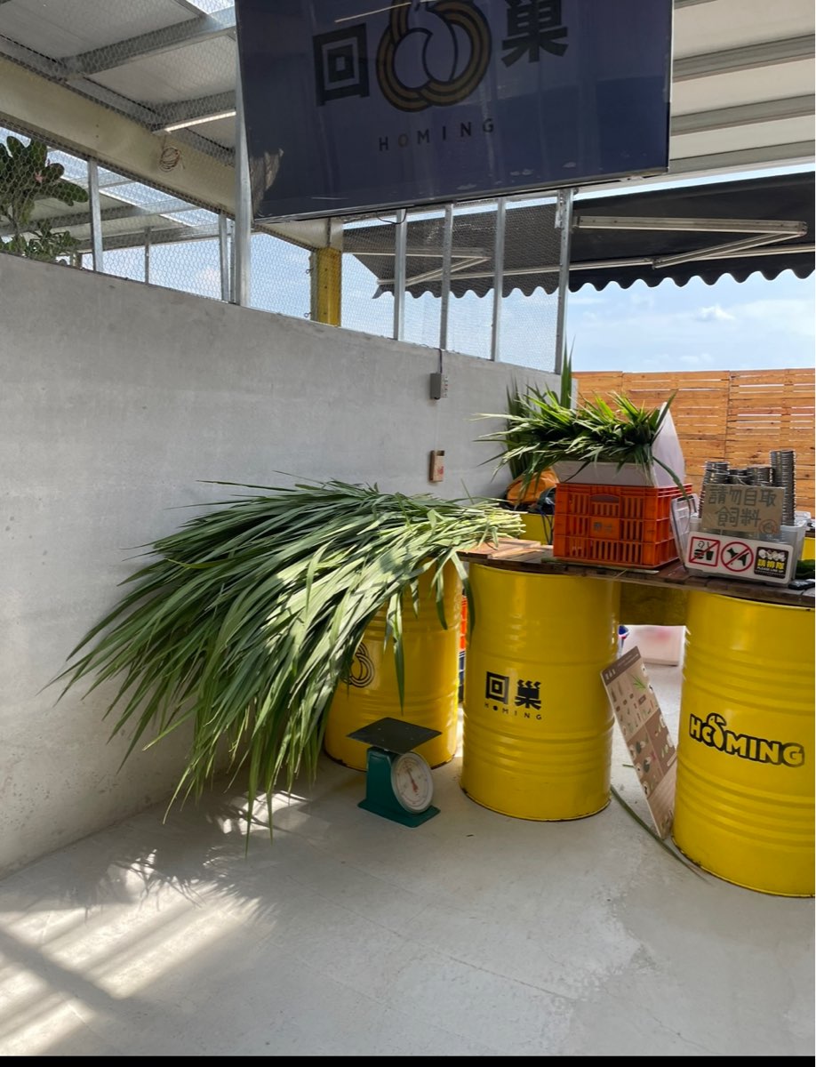 回巢農場 | 去趣 chicTrip