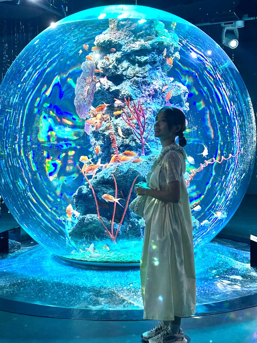 átoa 藝術水族館 | 去趣 chicTrip