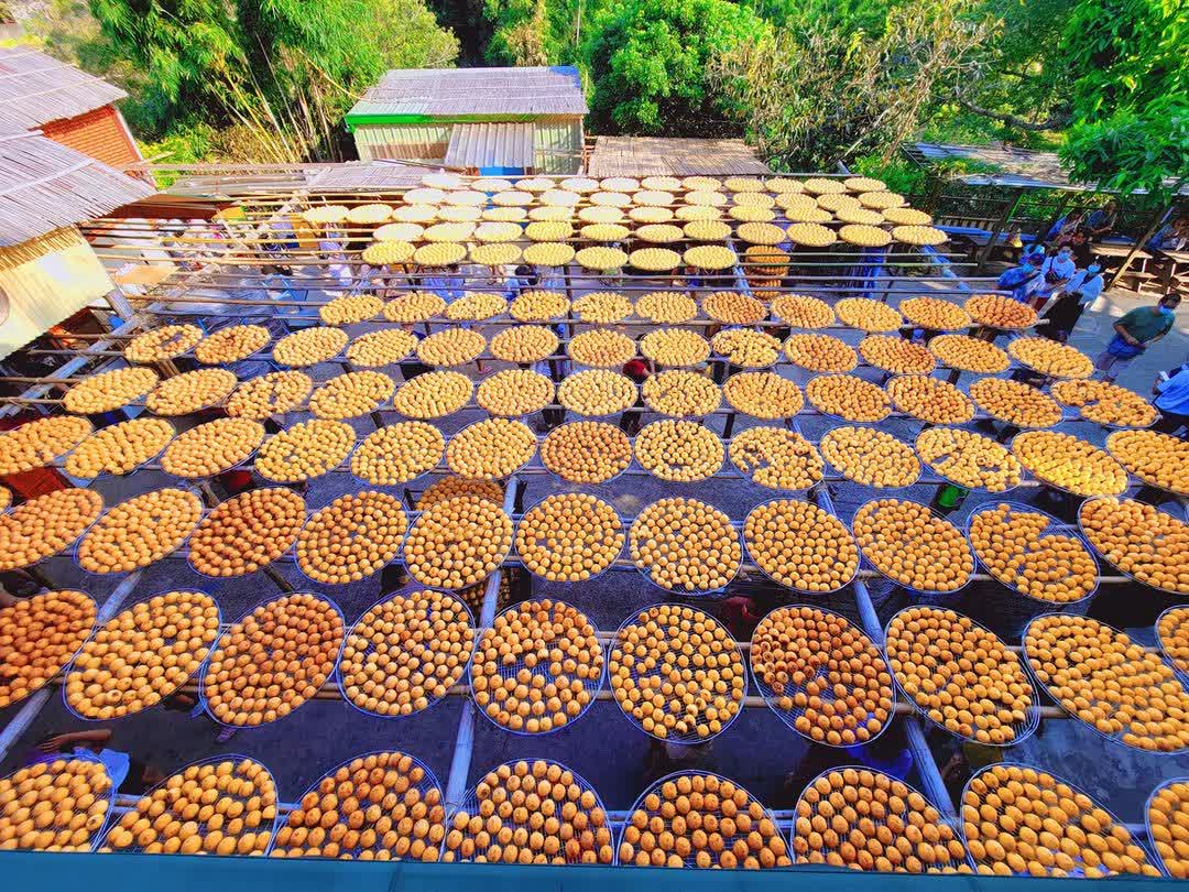 味衛佳柿餅教育農園 | 去趣 chicTrip