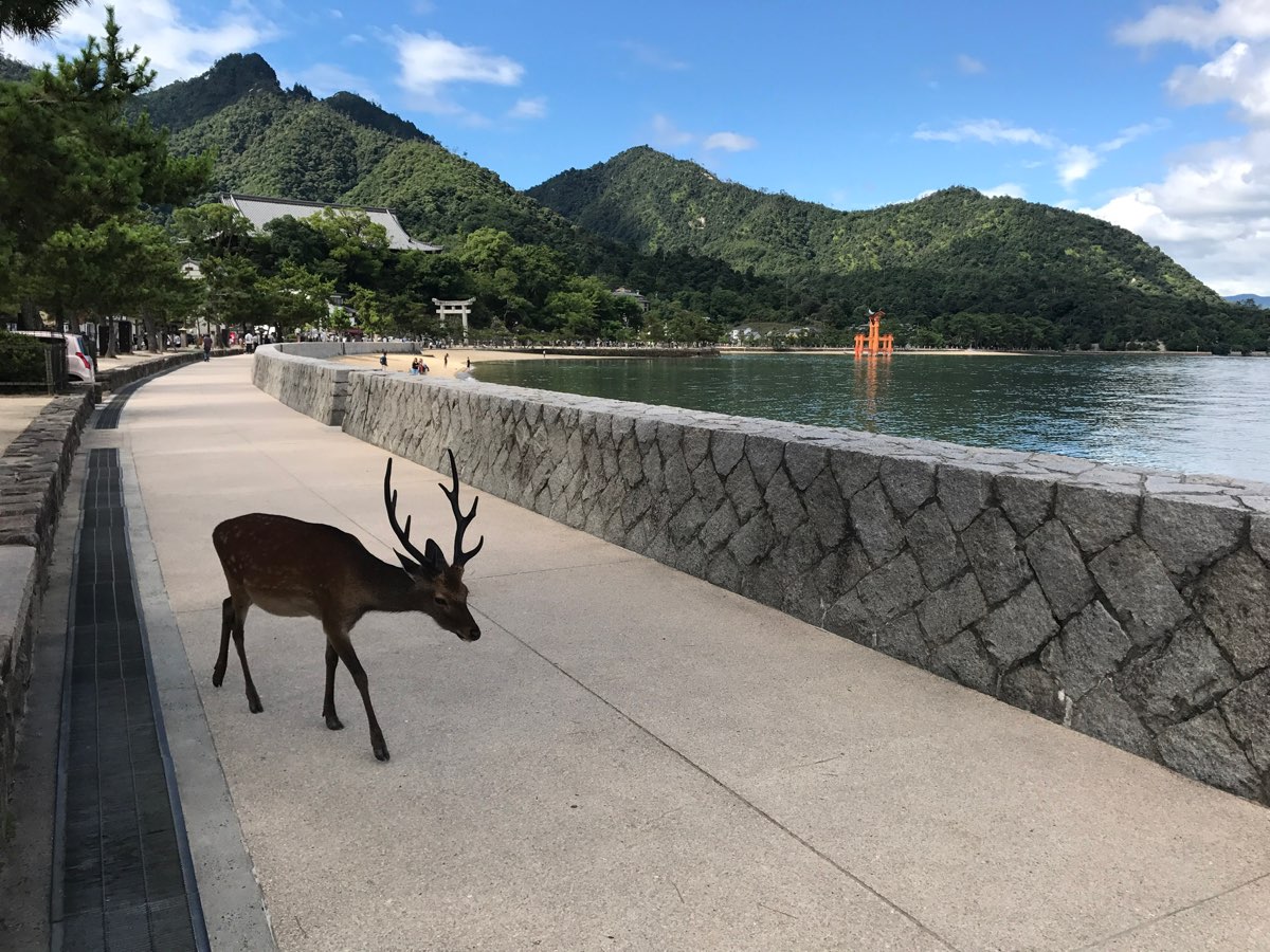 嚴島神社 | 去趣 chicTrip