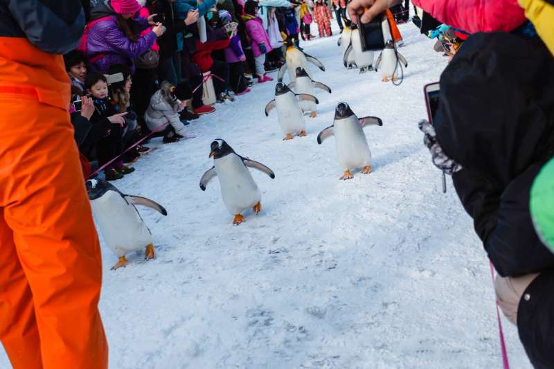 登別尼克斯海洋公園 | 去趣 chicTrip