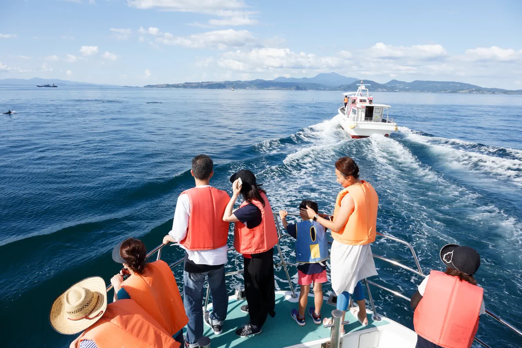Amakusa City Dolphin Center Roadside Station | 去趣 chicTrip