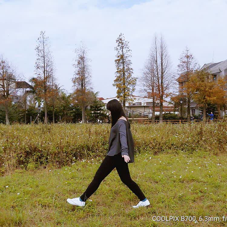 落羽松大道 | 去趣 chicTrip