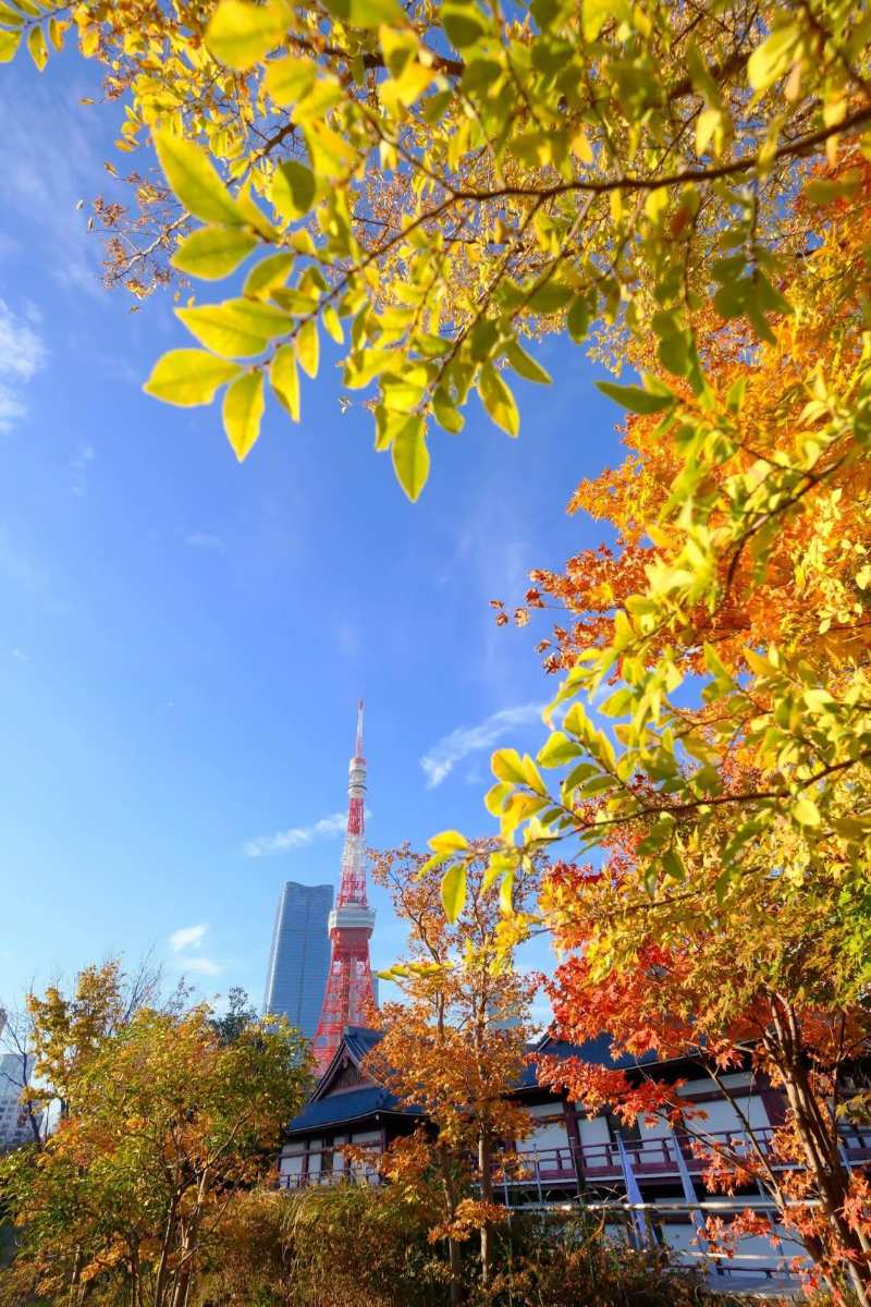 增上寺 | 去趣 chicTrip