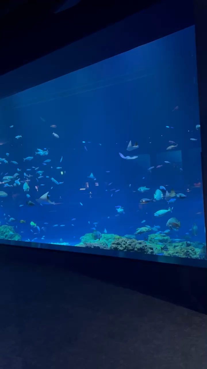 DMM Kariyushi水族館 | 去趣 chicTrip