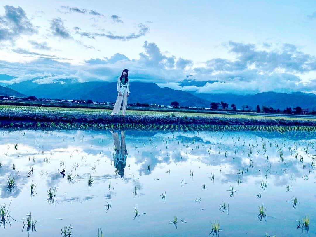 臺東池上錦新三號道路 伯朗大道 | 去趣 chicTrip