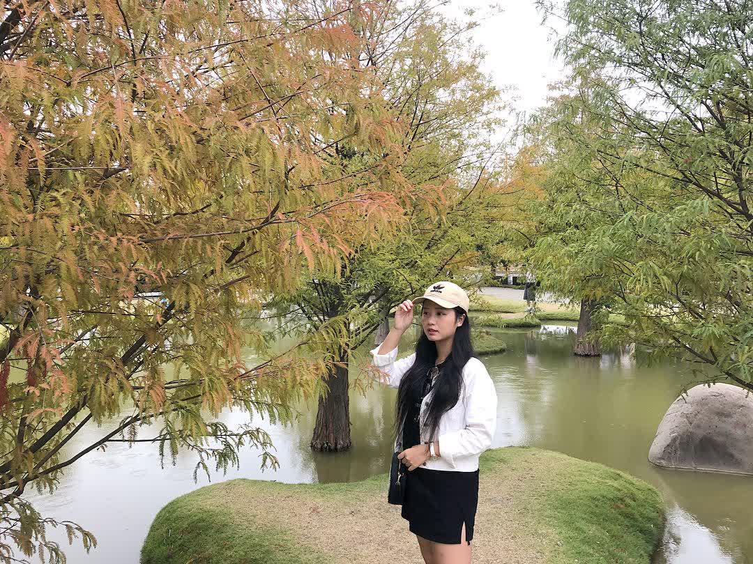 青埔落羽松秘境 | 去趣 chicTrip