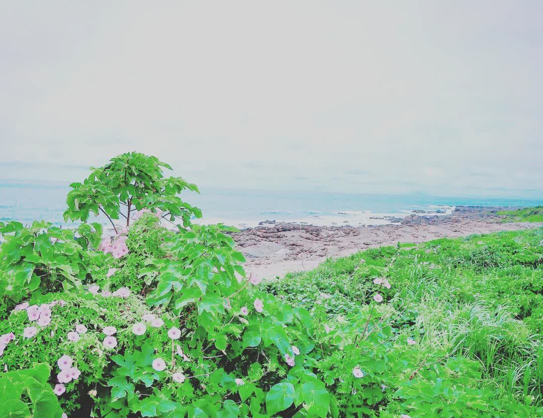 加路蘭遊憩區 | 去趣 chicTrip