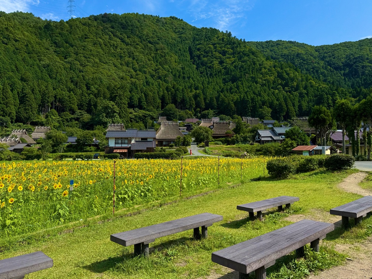 日本-美山 茅草屋之里 | 去趣 chicTrip