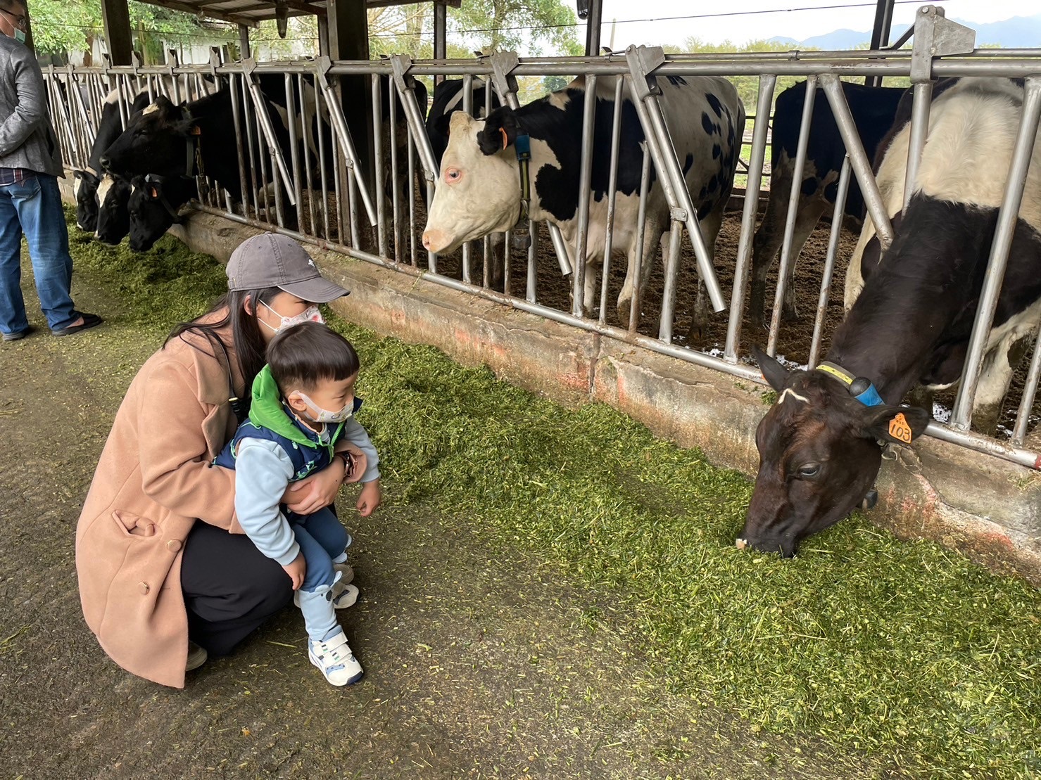 瑞穗牧場 | 去趣 chicTrip