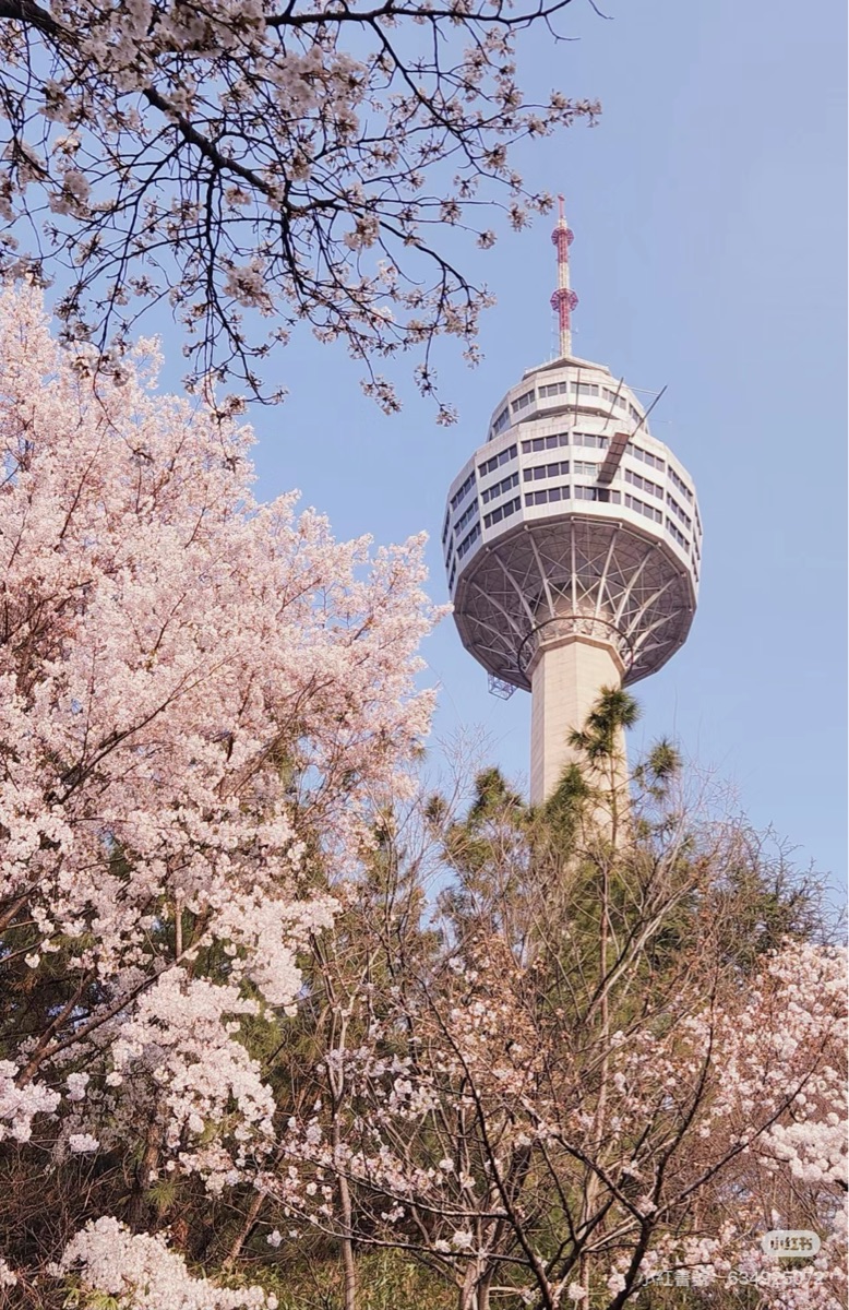 83타워 | 去趣 chicTrip