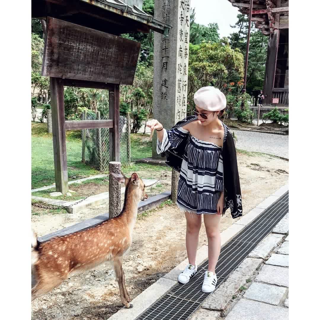 奈良公園 | 去趣 chicTrip