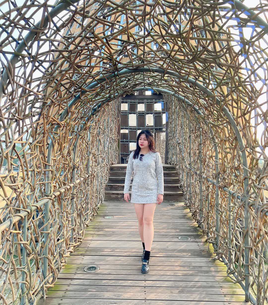 森林之歌 | 去趣 chicTrip