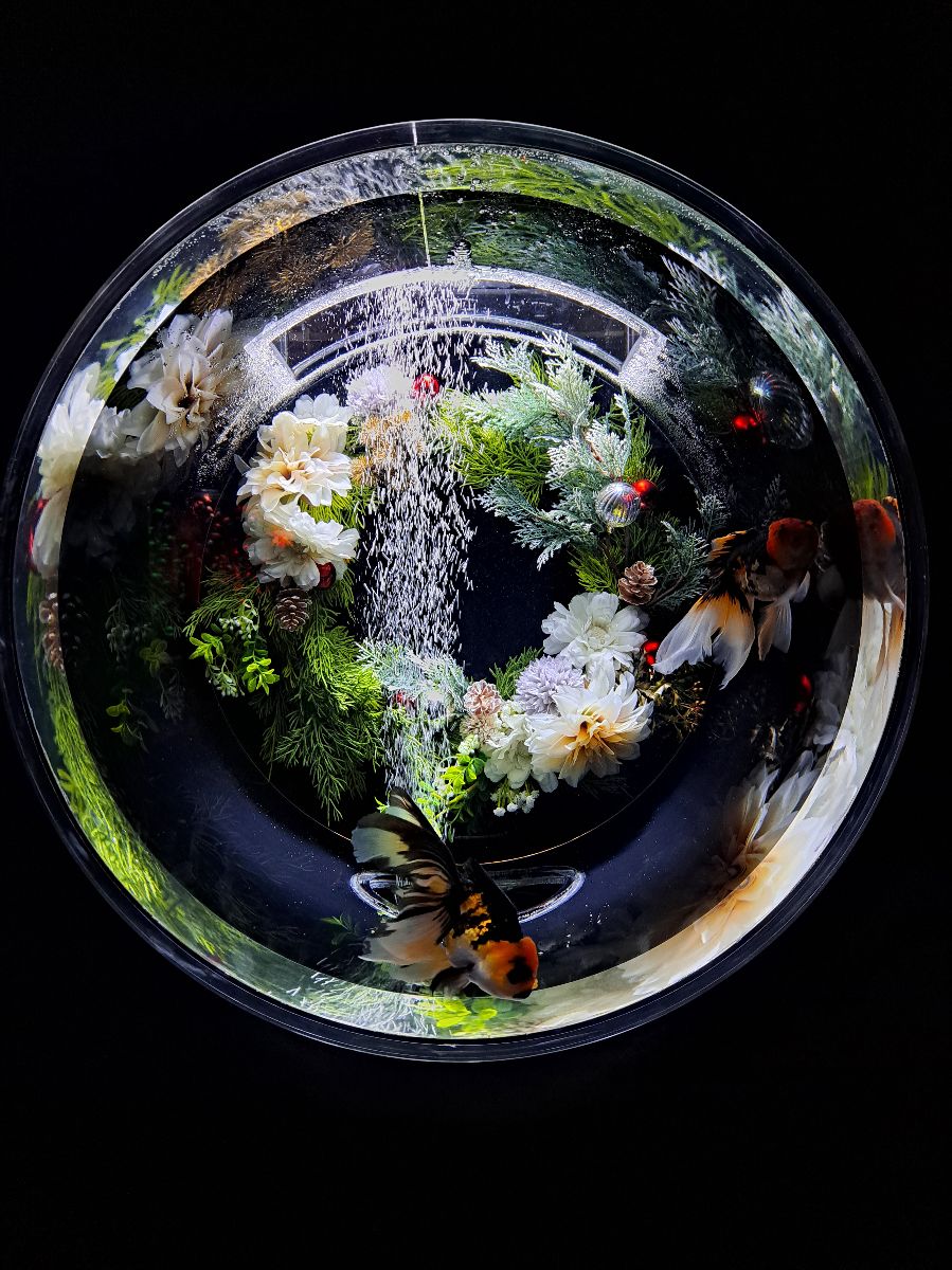 ART AQUARIUM MUSEUM 銀座金魚美術館 | 去趣 chicTrip