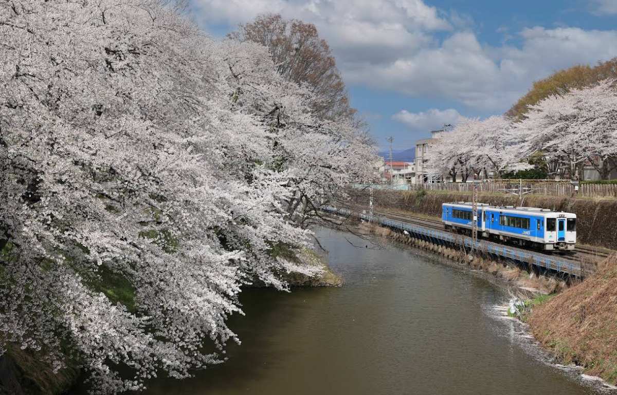 霞城公園 | 去趣 chicTrip
