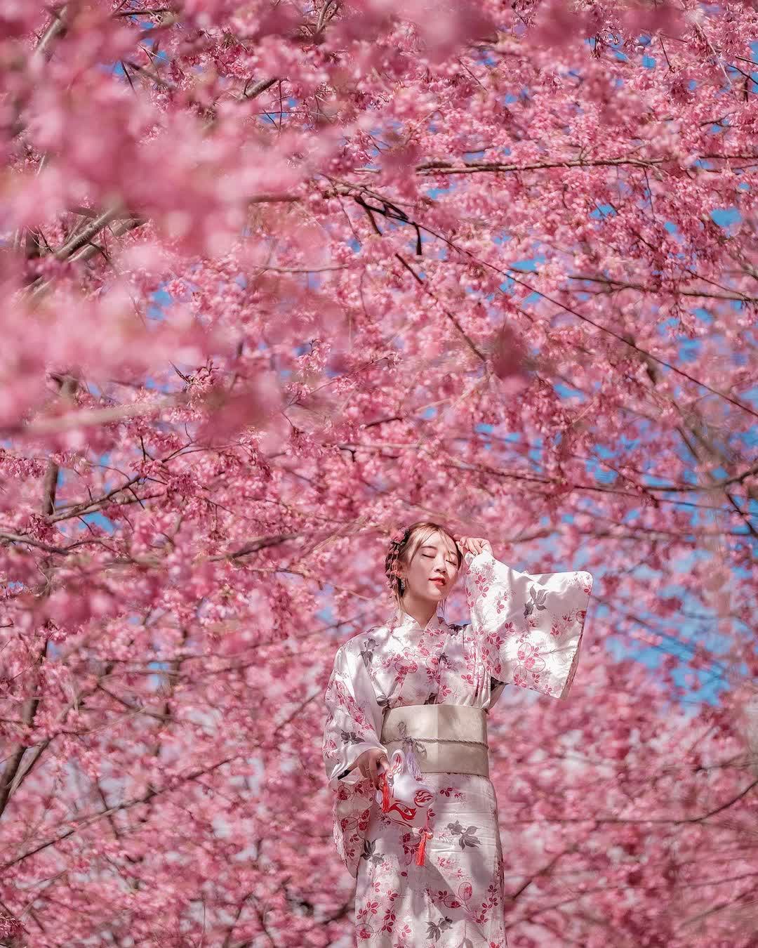 司馬庫斯 | 去趣 chicTrip