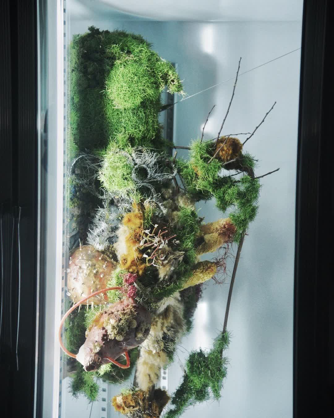 金馬賓館當代美術館 ALIEN Art Centre