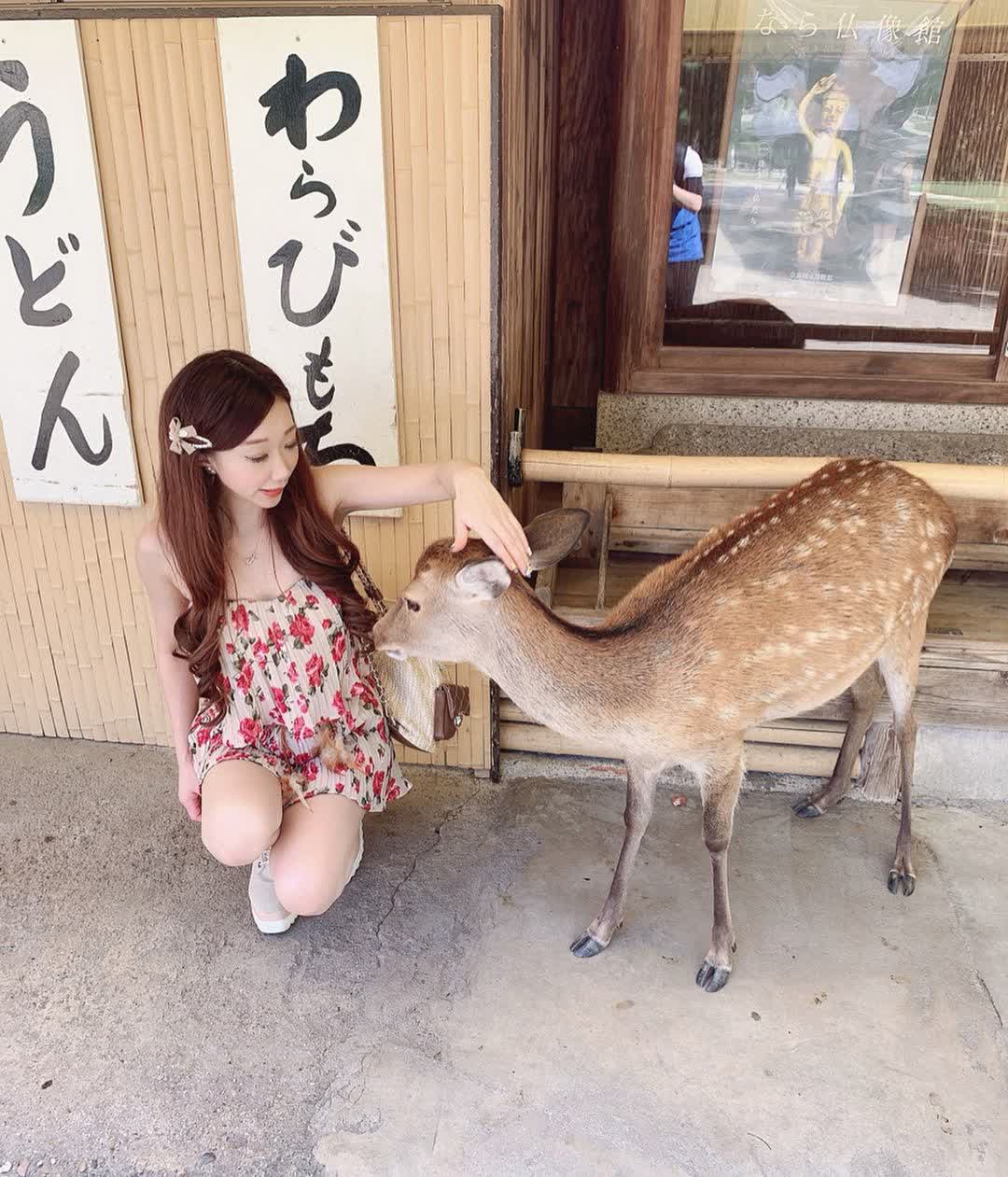 奈良公園 | 去趣 chicTrip