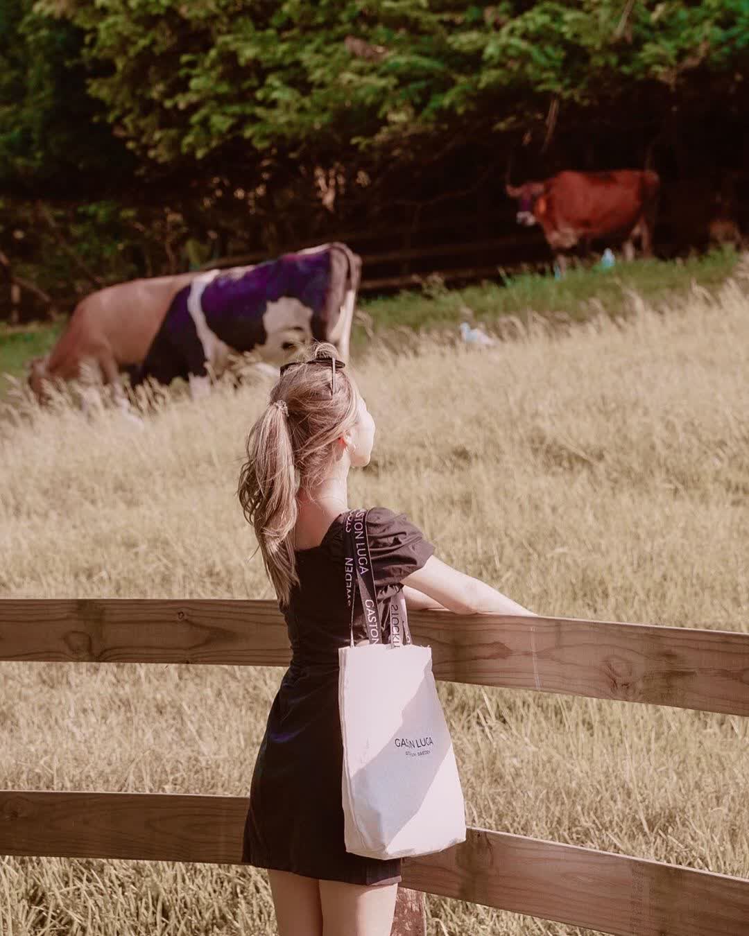 飛牛牧場 | 去趣 chicTrip