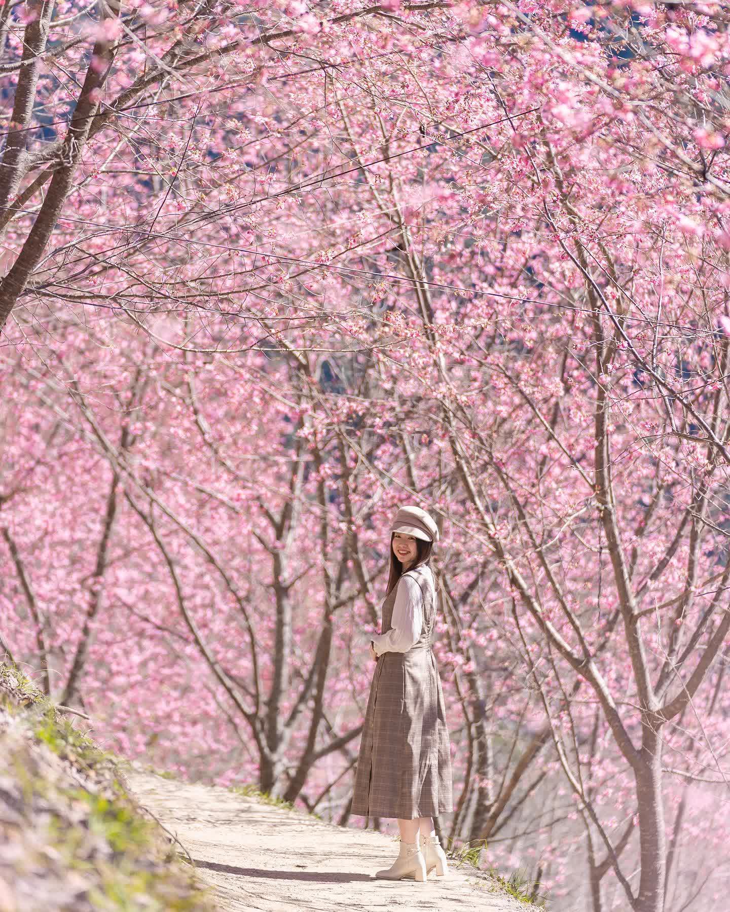 司馬庫斯 | 去趣 chicTrip