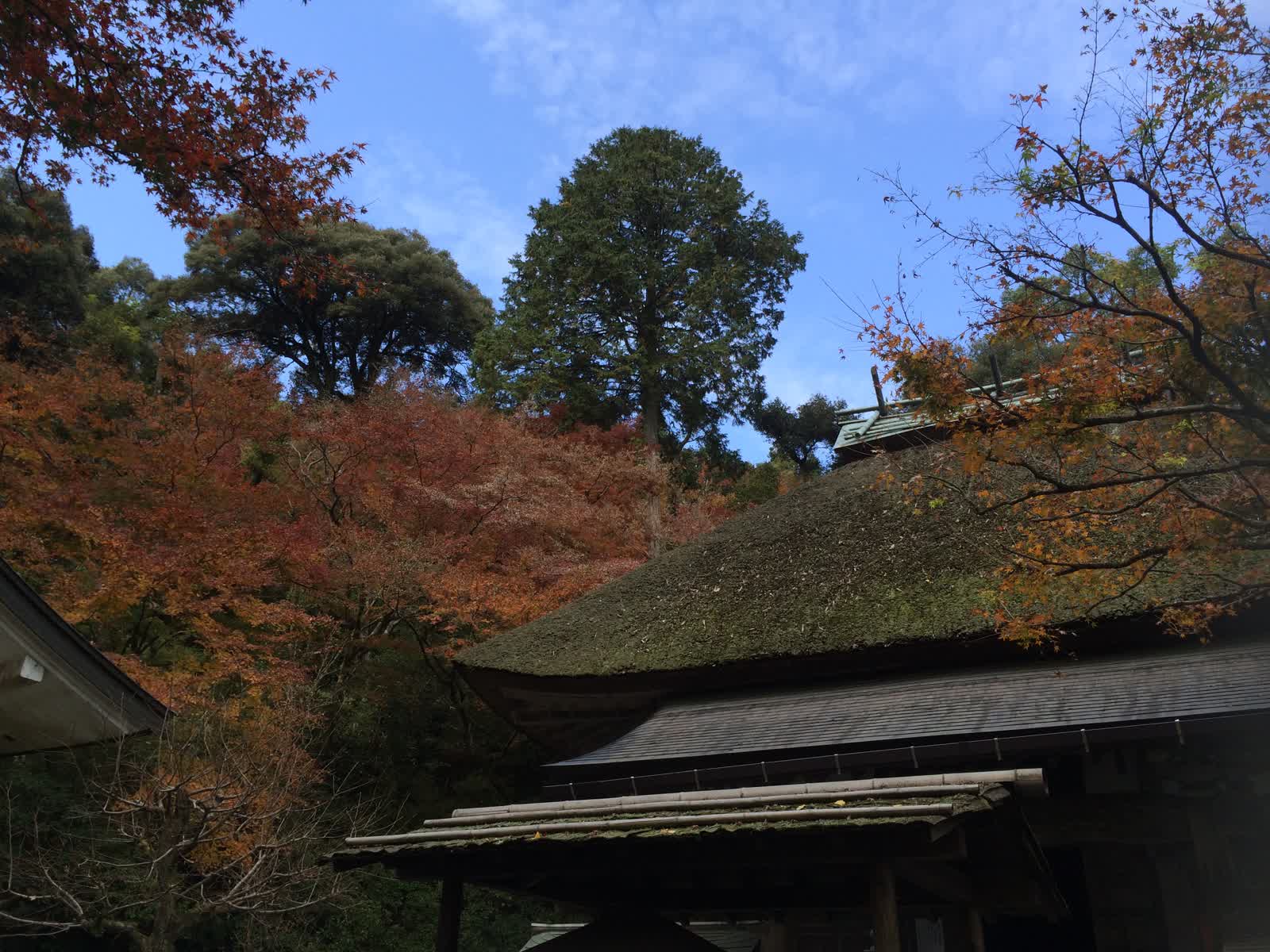 大興善寺 | 去趣 chicTrip