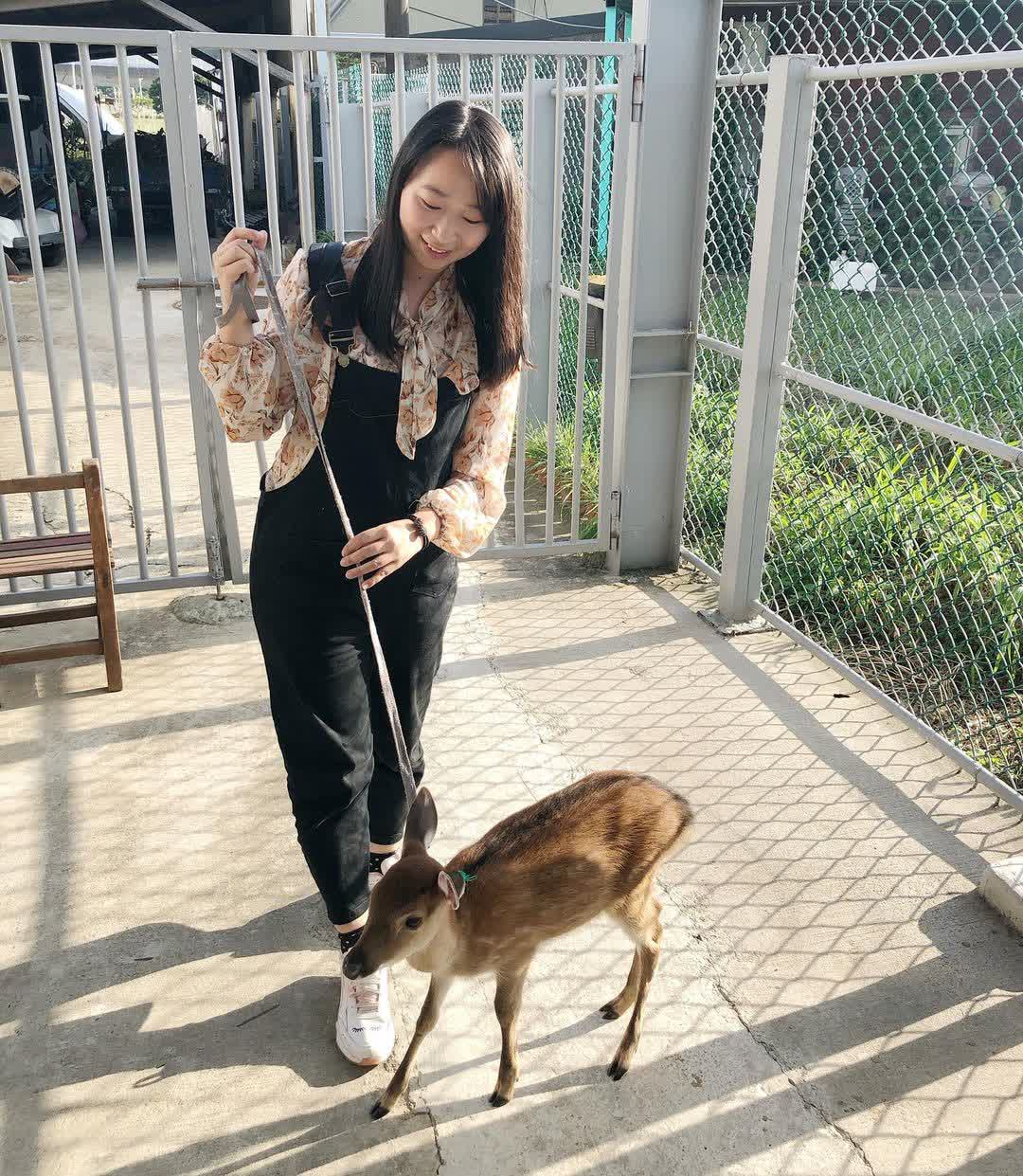 山腳鹿場水鹿之家