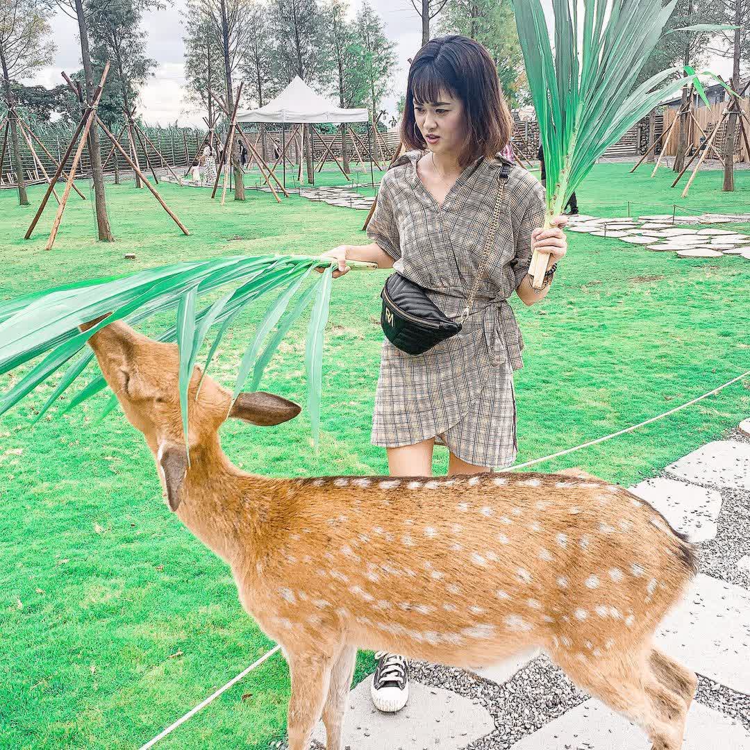 宜蘭-斑比山丘 | 去趣 chicTrip