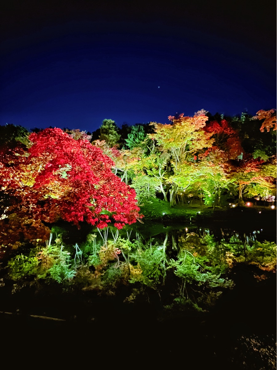 高台寺 | 去趣 chicTrip